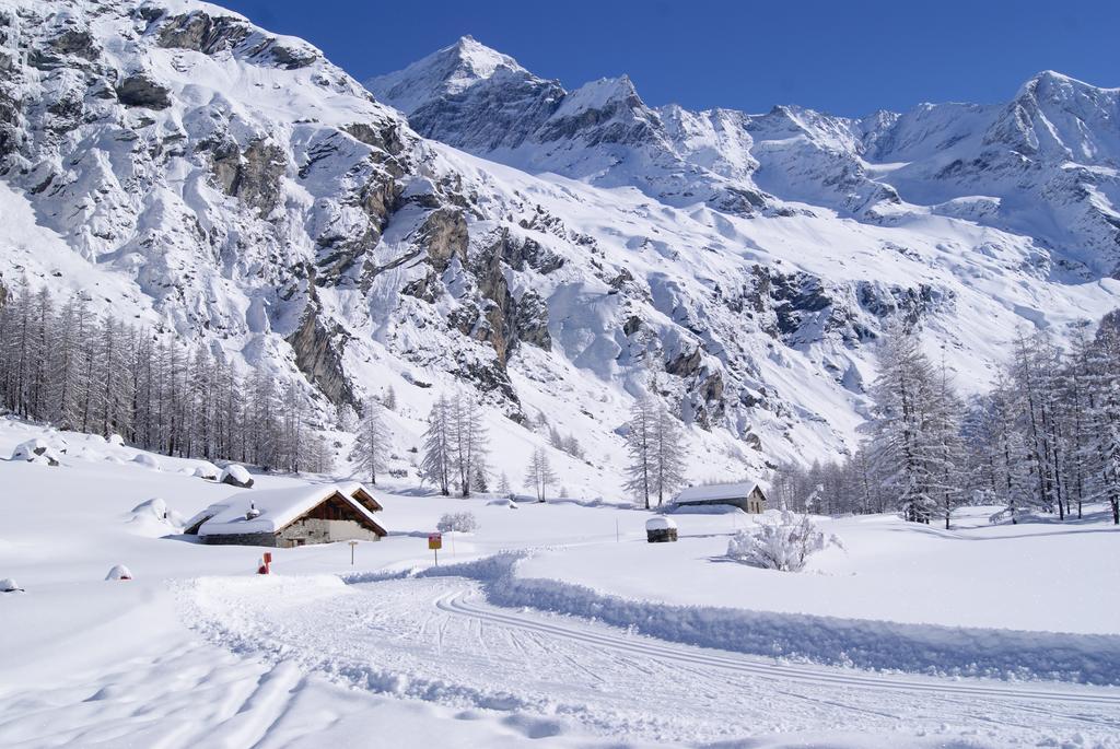 פסי-ננקרואה 23 Praz De L'Ours Vallandry - Les Arcs מראה חיצוני תמונה